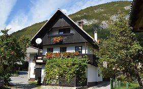 Hisa Plansar Bohinj Accommodations